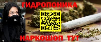 ALPHA PVP Гатчина