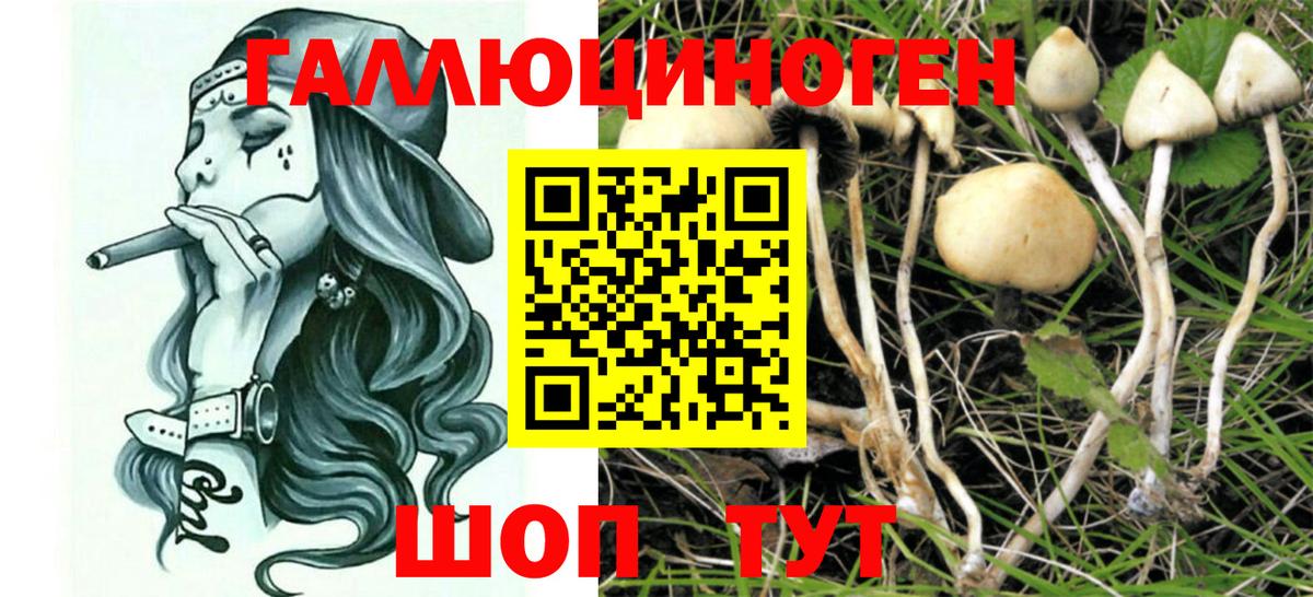 Заинск  Галлюциногенные грибы ЛСД  Вход с VPN  Галлюциногенные грибы Cubensis 